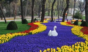 Keukenhof Gardens